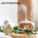 EUQEE Summer Fragrance Oil Gift Set - 6 Pack