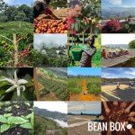 Colombian Coffee Sampler - 2-Pack Gourmet Beans