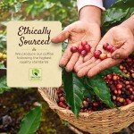 Nicaragua’s Premium Medium Roast Arabica Coffee Beans
