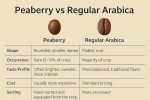 Giri Estates Indian Peaberry Whole Bean Coffee