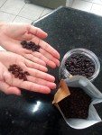 Gourmet Brazilian Essence Light Roast Coffee Beans