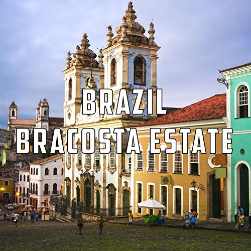 Brazil Coffee, Bracosta Estate, Ground, Fresh Roasted, 16-ounce
