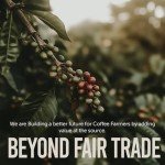 Colombian Medellin Whole Bean Coffee - Medium Roast