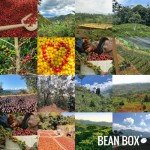 Ethiopian Coffee Sampler - 2-Pack Gourmet Blend