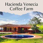 Hacienda Venecia Colombian Medium Roast Coffee Beans