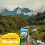 Cafe Duran Boquete Panama Whole Coffee Beans 12oz