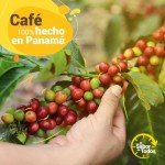 Cafe Duran Boquete Panama Whole Coffee Beans 12oz