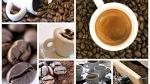 Baristino 100% Robusta Espresso Whole Beans 2.2 lb