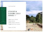 Organic Ethiopian Sidamo Guji Green Coffee Beans