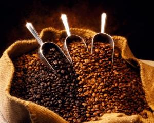 Nicaragua SHG Fancy La Rubia Coffee Beans 5 lbs