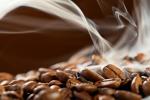 Nicaragua SHG Fancy La Rubia Coffee Beans 5 lbs