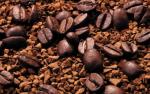 Nicaragua SHG Fancy La Rubia Coffee Beans 5 lbs