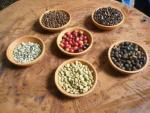 Nicaragua SHG Fancy La Rubia Coffee Beans 5 lbs