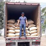 Guatemala Premium Green Unroasted Coffee Beans, 5 Lbs