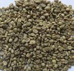 Nicaraguan Single Origin Green Coffee Beans - 3 Lb