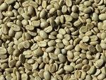 Good Times Coffee Co. Costa Rican Green Beans