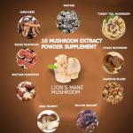 Suiyilary Mushroom Coffee Blend for Energy & Focus