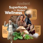 Suiyilary Mushroom Coffee Blend for Energy & Focus