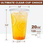 120 Clear Plastic Cups with Lids and Straws