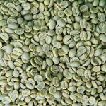 Costa Rican Unroasted Green Coffee Beans, 5 lbs