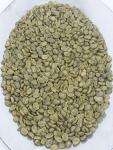 Colombian Green Coffee Beans from El Nivel 50 Lb