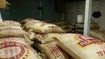 Colombian Green Coffee Beans from El Nivel 50 Lb