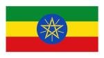 Ethiopia Yirgacheffe Premium Green Coffee Beans 2lb