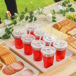 VITEVER 16oz Clear Plastic Cups with Lids & Straws