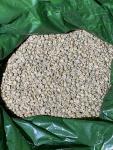Kenya AB Green Arabica Coffee Beans - 3 LB
