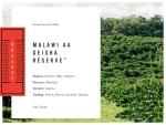 Malawi Geisha Reserve Green Coffee Beans, 5 Lbs