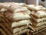 Colombian Green Coffee Beans from El Nivel 10 lb