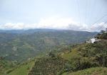 Colombian Green Coffee Beans from El Nivel 10 lb