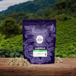 Cielito Paradise Castillo Green Coffee Beans, 2 lbs