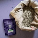 Cielito Paradise Castillo Green Coffee Beans, 2 lbs