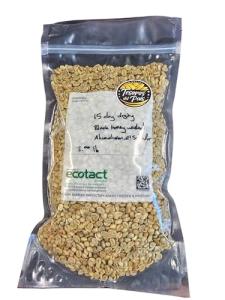 Ahuachapan Green Unroasted Coffee Beans, 3 lb