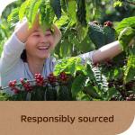 NESCAFÉ Taster's Choice Dark Roast Instant Coffee