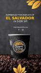Ahuachapan Green Unroasted Coffee Beans, 3 lb