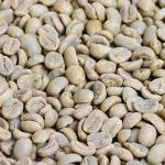 Gourmet Unroasted Arabica Coffee Beans, 5 lbs