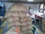Colombian Green Coffee Beans 1.4kg - Farm Fresh