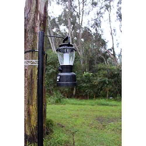 Coleman Rechargeable LED Lantern: Water & Impact-Resistant
