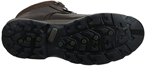 Timberland Dark Brown Waterproof Hiking Boot - Men's