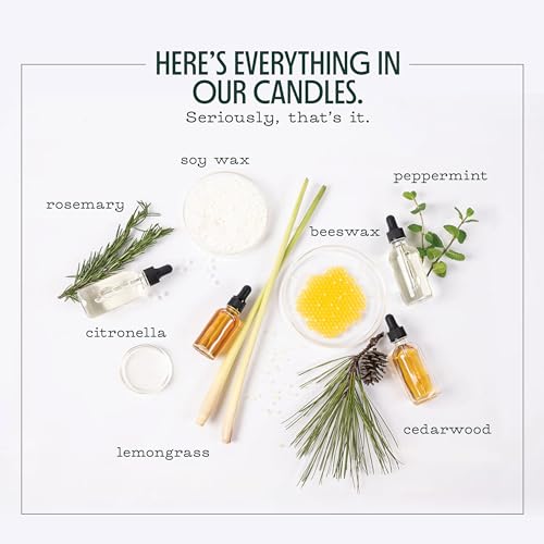 Plant-Based Mosquito Repellent Candle | 30 Hour Burn