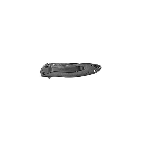 BlackWash Kershaw Leek Pocket Knife