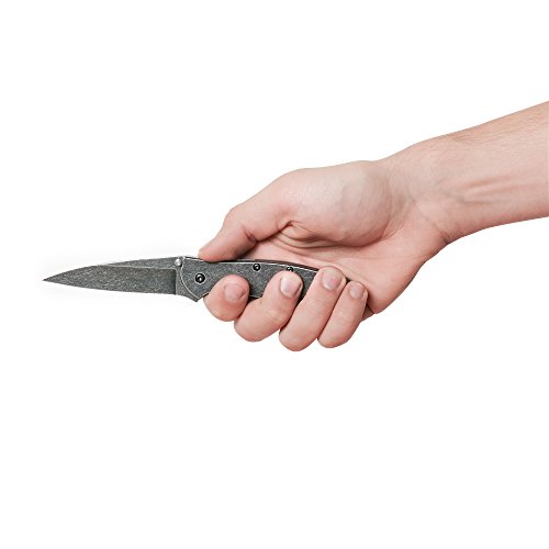 BlackWash Kershaw Leek Pocket Knife