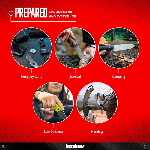 Kershaw Leek Pocket Knife with 14C28N Blade