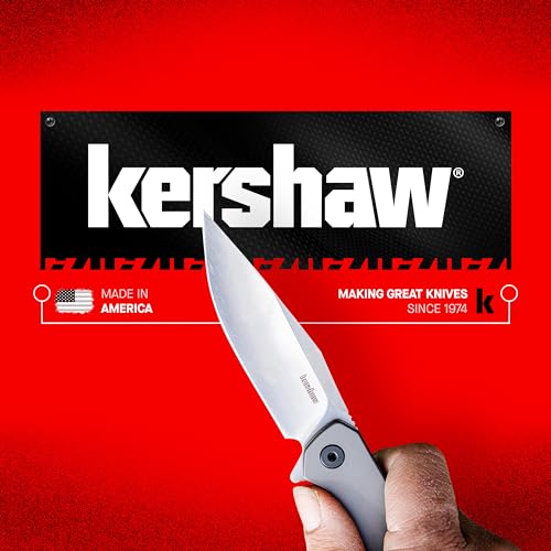 Kershaw Leek Pocket Knife with 14C28N Blade