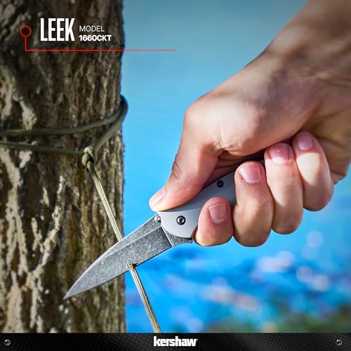 Kershaw Black Leek Folding Knife