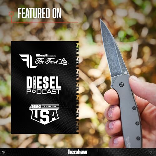 Kershaw Black Leek Folding Knife