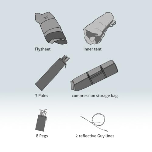 Salewa Denali II Tent: 2-Person 3-Season Cactus/Grey, One Size