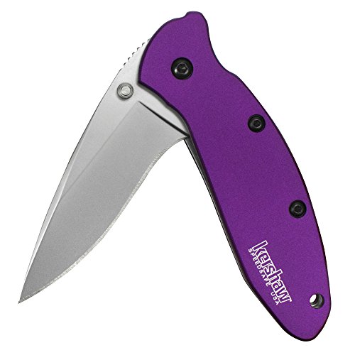Purple Kershaw Folding Knife with 420HC Blade